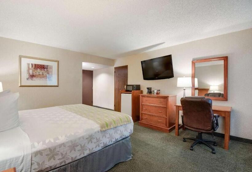 اتاق استاندارد با تخت بزرگ, Surestay Plus Hotel By Best Western Reno Airport