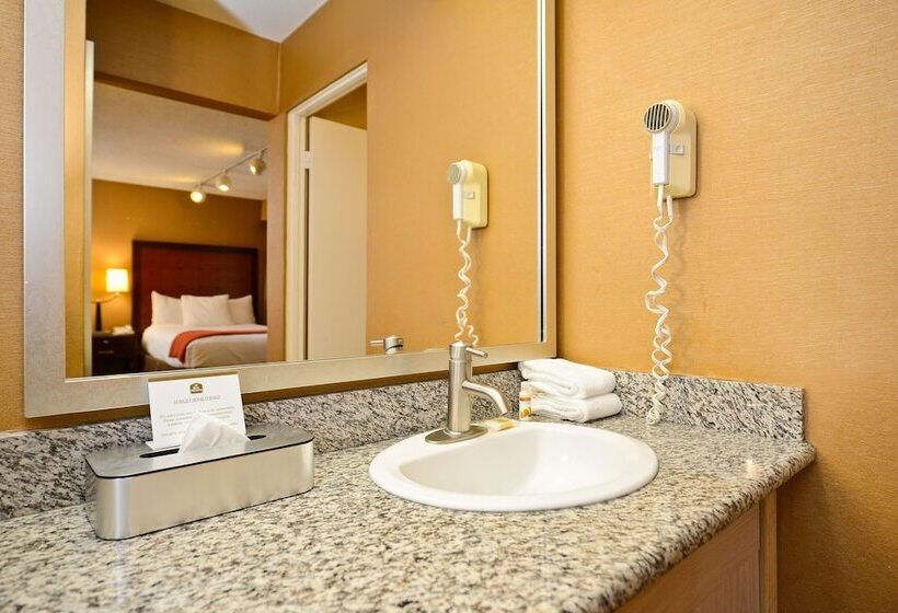 Chambre Standard 2 Lits Doubles, Best Western Inn At Palm Springs