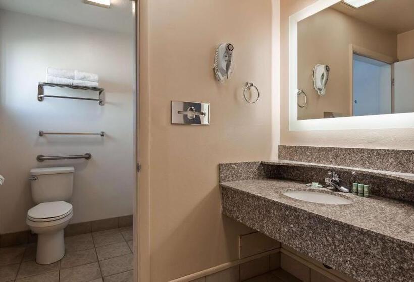 اتاق استاندارد با تخت دو نفره بزرگ برای معلولان, Best Western Paradise Inn
