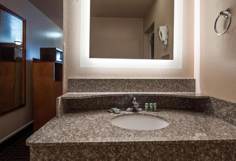اتاق استاندارد با تخت بزرگ, Best Western Paradise Inn