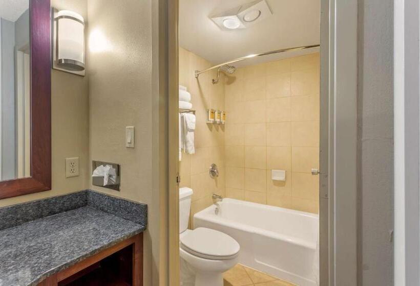 Номер Стандарт Внутренний, Best Western Plus Burley Inn & Convention Center
