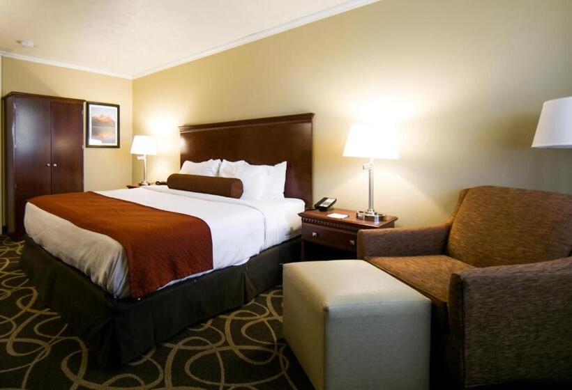 Номер Стандарт Кровать Кинг Адаптированный для Инвалидов, Best Western Plus Burley Inn & Convention Center