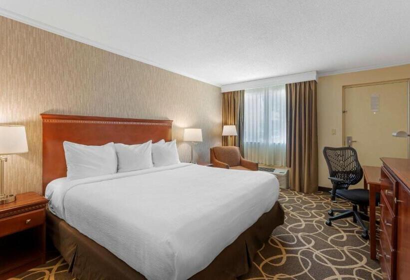 Номер Стандарт Кровать Кинг Адаптированный для Инвалидов, Best Western Plus Burley Inn & Convention Center