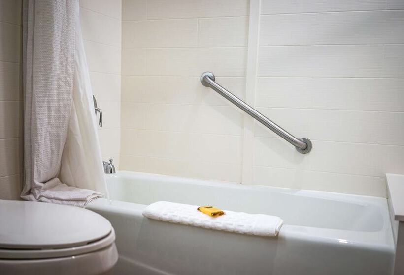 스탠다드 룸 더블 침대 2개, Best Western Plus Dubuque Hotel And Conference Center