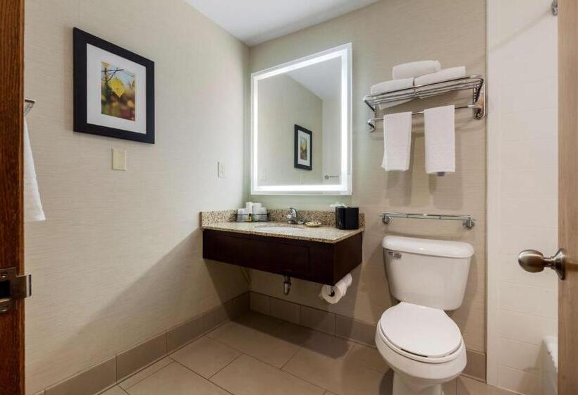 스탠다드 룸 킹사이즈 침대, Best Western Plus Dubuque Hotel And Conference Center