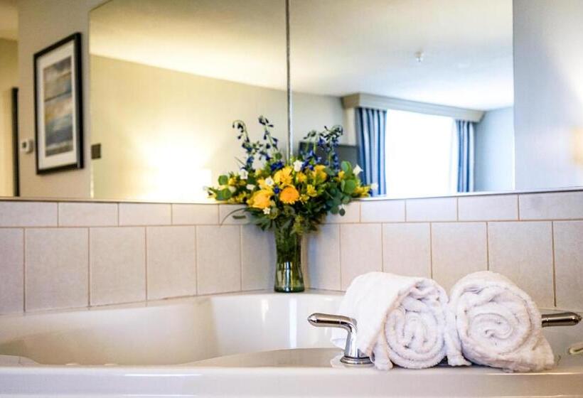 스위트 킹사이즈 침대, Best Western Plus Dubuque Hotel And Conference Center