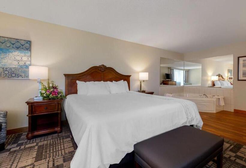 스위트 킹사이즈 침대, Best Western Plus Dubuque Hotel And Conference Center