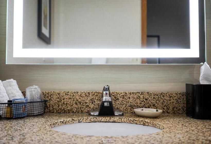 스탠다드 룸 풀장 전망, Best Western Plus Dubuque Hotel And Conference Center