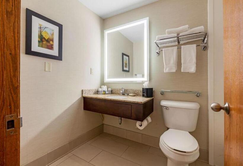 스탠다드 룸 풀장 전망, Best Western Plus Dubuque Hotel And Conference Center