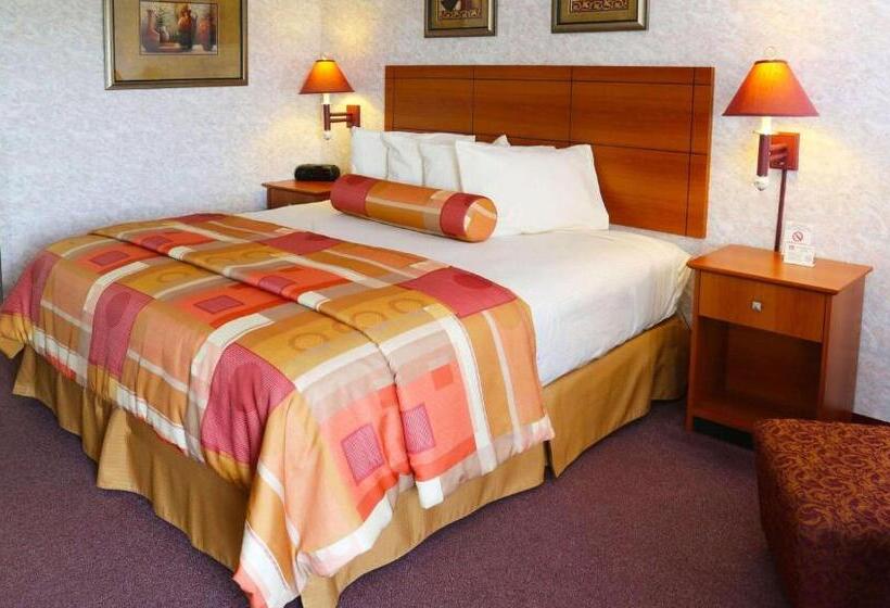 스탠다드 룸 킹사이즈 침대, Magnuson Hotel Howell/brighton