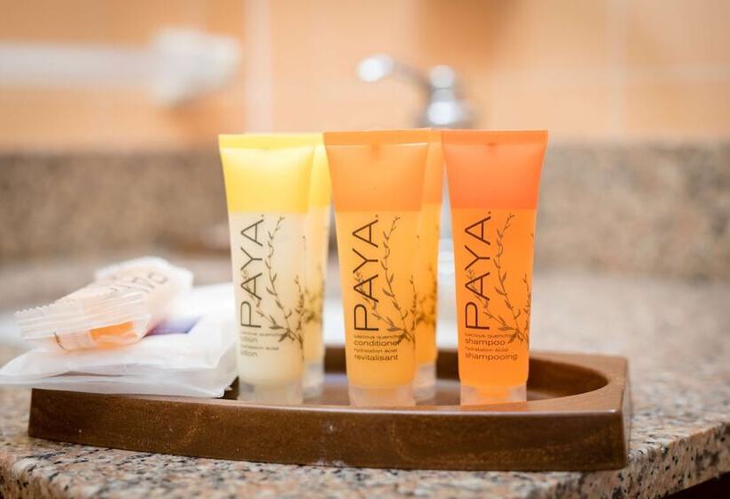 Suite, Sfo El Rancho Inn Surestay Collection By Best Western