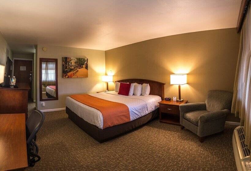 Люкс, Best Western University Inn