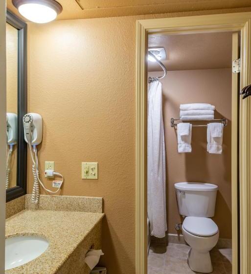 اتاق استاندارد با تخت بزرگ, Best Western Vista Inn At The Airport