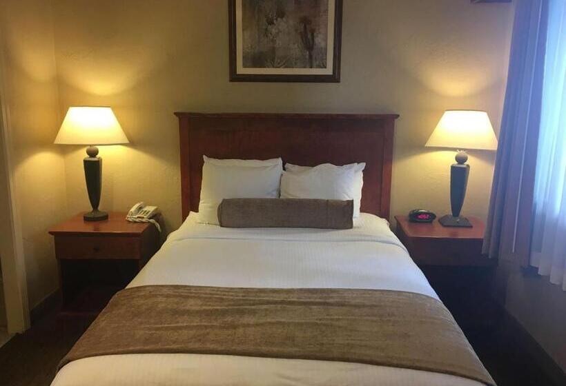 اتاق استاندارد, Best Western Vista Inn At The Airport