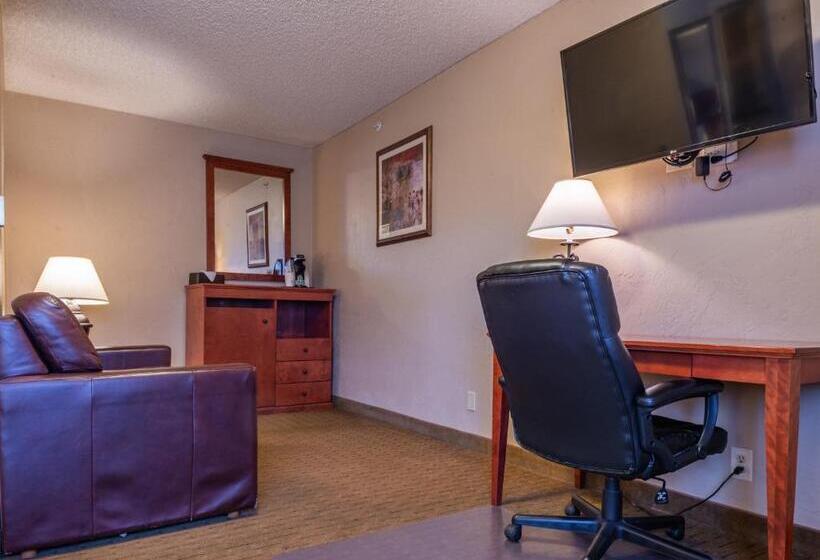 اتاق استاندارد برای معلولان, Best Western Vista Inn At The Airport