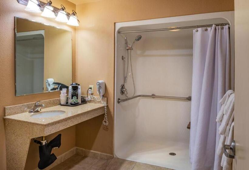 اتاق استاندارد با تخت بزرگ برای معلولان, Best Western Vista Inn At The Airport