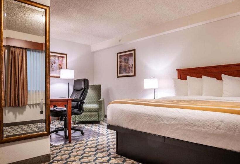 اتاق استاندارد با تخت بزرگ, Best Western Vista Inn At The Airport