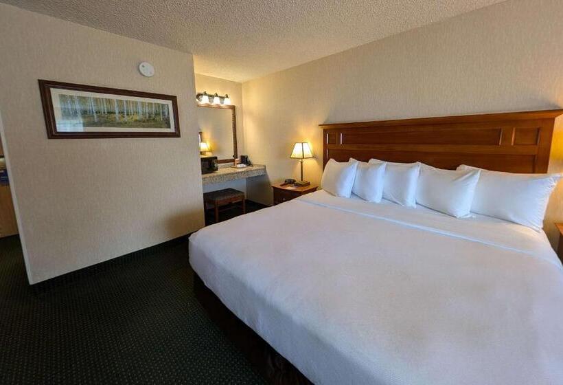 스탠다드 룸 킹사이즈 침대, Comfort Inn Near Vail Beaver Creek