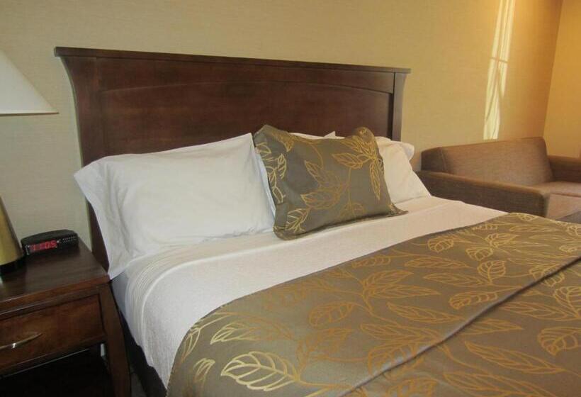 غرفة قياسية سرير كينج لذوى الإحتياجات الخاصة, Days Inn By Wyndham San Diego Hotel Circle