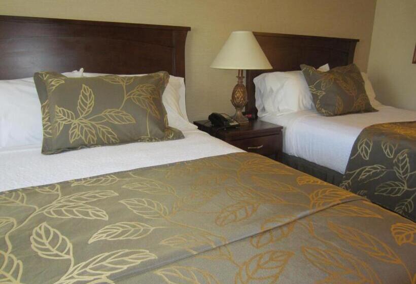 غرفة قياسية لذوى الاحتياجات الخاصة, Days Inn By Wyndham San Diego Hotel Circle