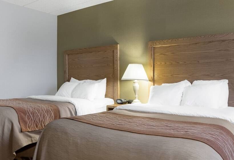 套房, Quality Inn Bismarck I 94