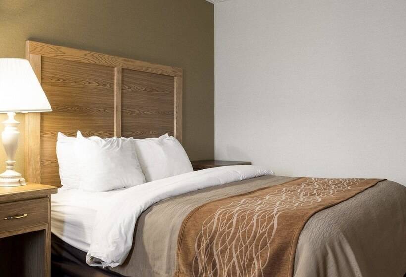套房, Quality Inn Bismarck I 94