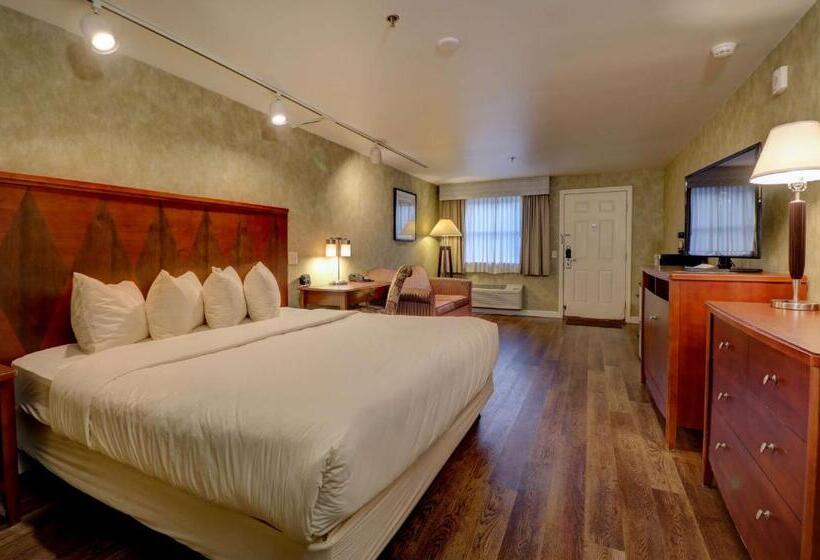 Номер Deluxe Кровать Кинг, Senator Inn & Spa