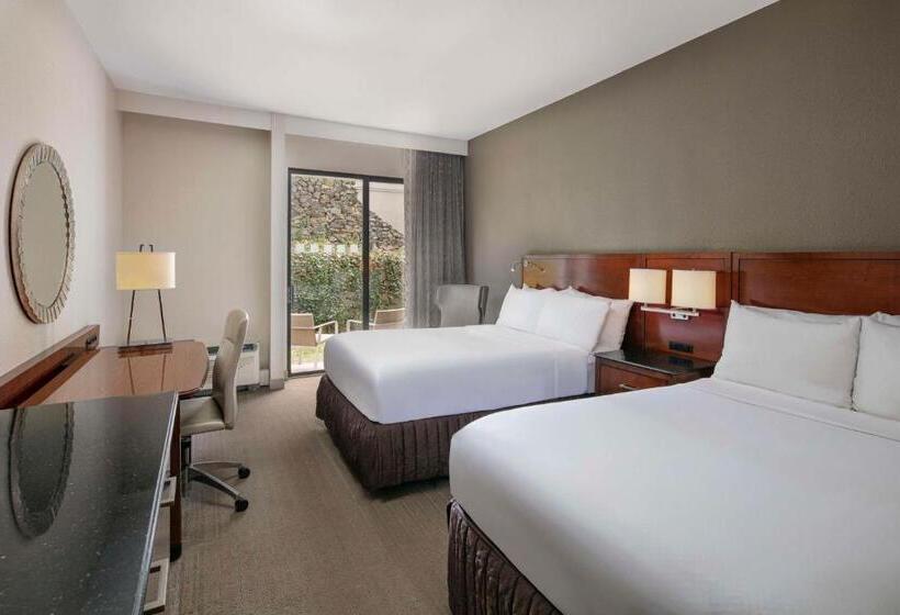 이그제큐티브 룸, Sonesta Charlotte Lower South End