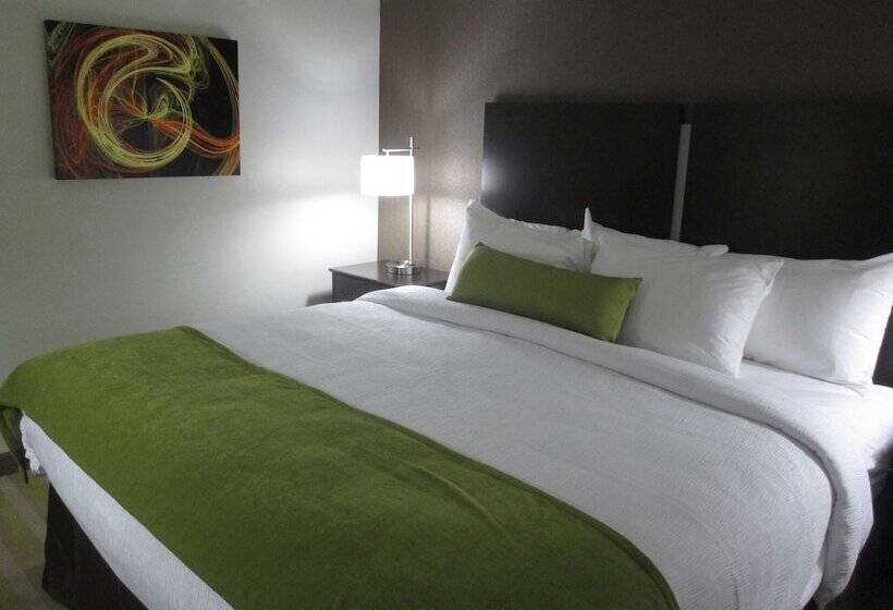 스위트, Best Western Harvest Inn & Suites