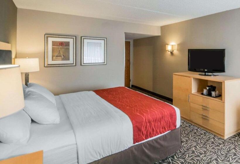 Стандартный Номер Кровать Кинг, Comfort Inn   Nys Fairgrounds