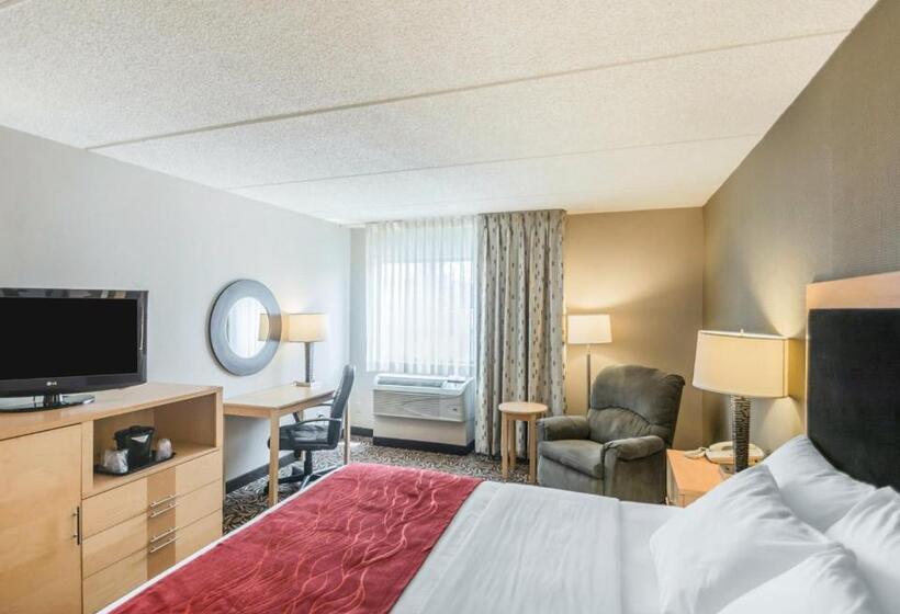 Стандартный Номер Кровать Кинг, Comfort Inn   Nys Fairgrounds