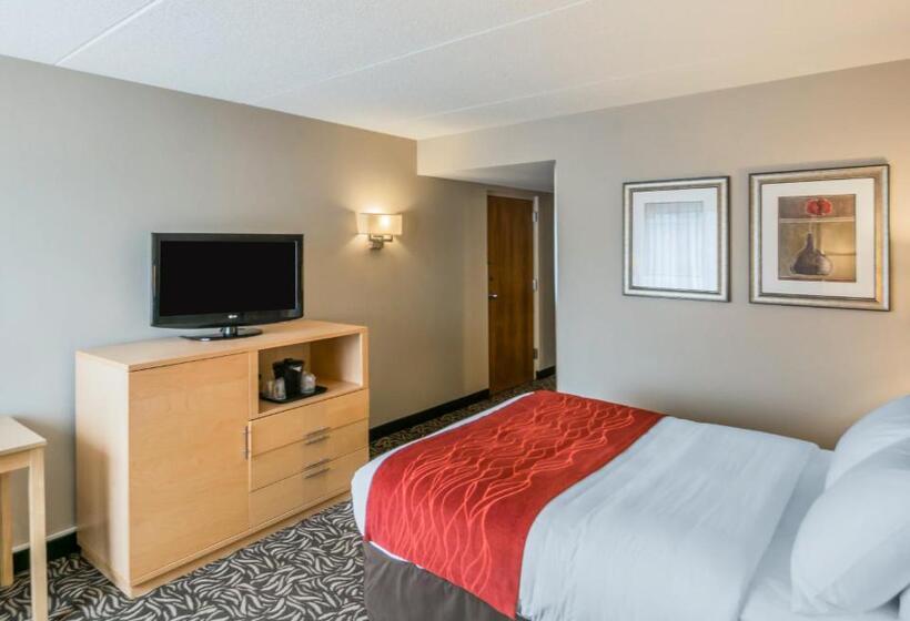 Номер Стандарт Адаптированный для Инвалидов, Comfort Inn   Nys Fairgrounds