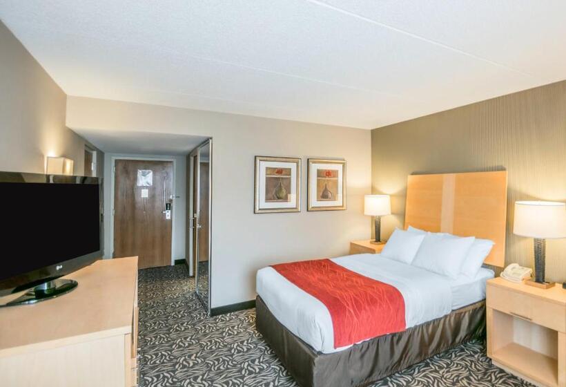 Номер Стандарт Двуспальная Кровать Адаптированный для Инвалидов, Comfort Inn   Nys Fairgrounds