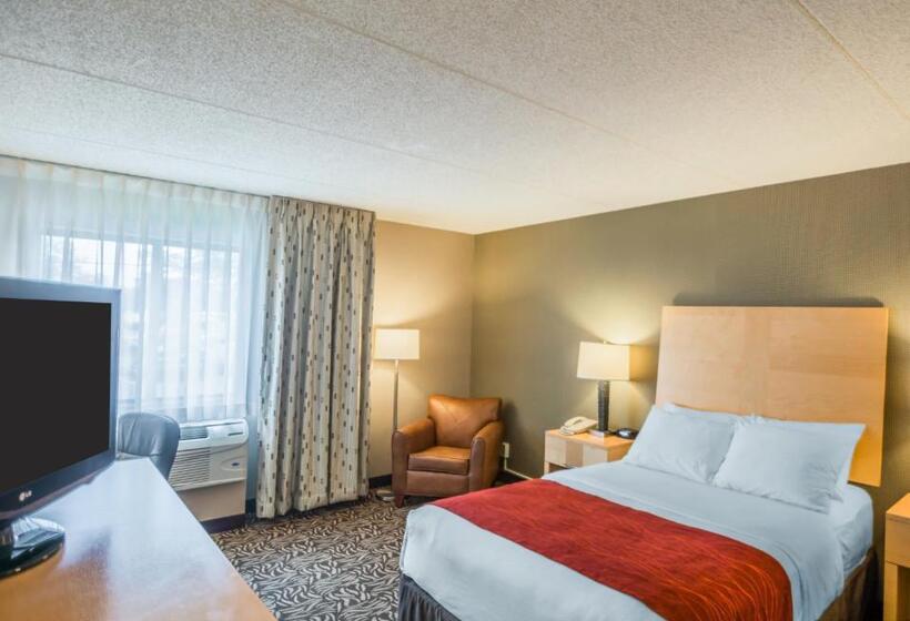 Номер Стандарт Двуспальная Кровать Адаптированный для Инвалидов, Comfort Inn   Nys Fairgrounds