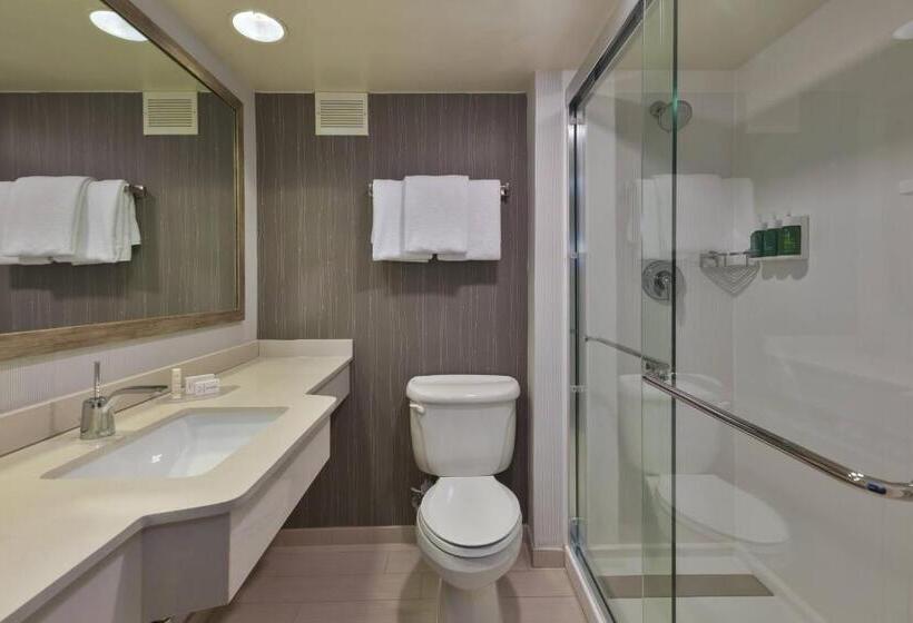 Номер Стандарт, Courtyard By Marriott Secaucus Meadowlands