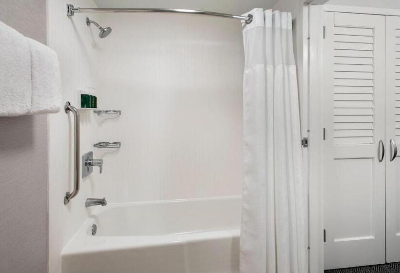 스위트, Courtyard By Marriott Silver Spring North/white Oak