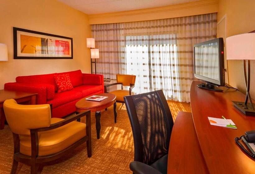 Люкс Executive Кровать Кинг, Courtyard Virginia Beach Norfolk