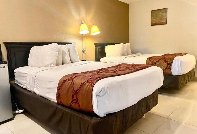 חדר סטנדרט מותאם לאדם עם מוגבלויות, Garden Inn Homestead/everglades/gateway To Keys