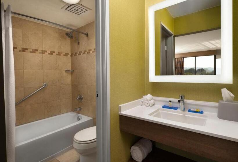 스탠다드 룸 킹사이즈 침대, Holiday Inn Express At Monterey Bay, An Ihg