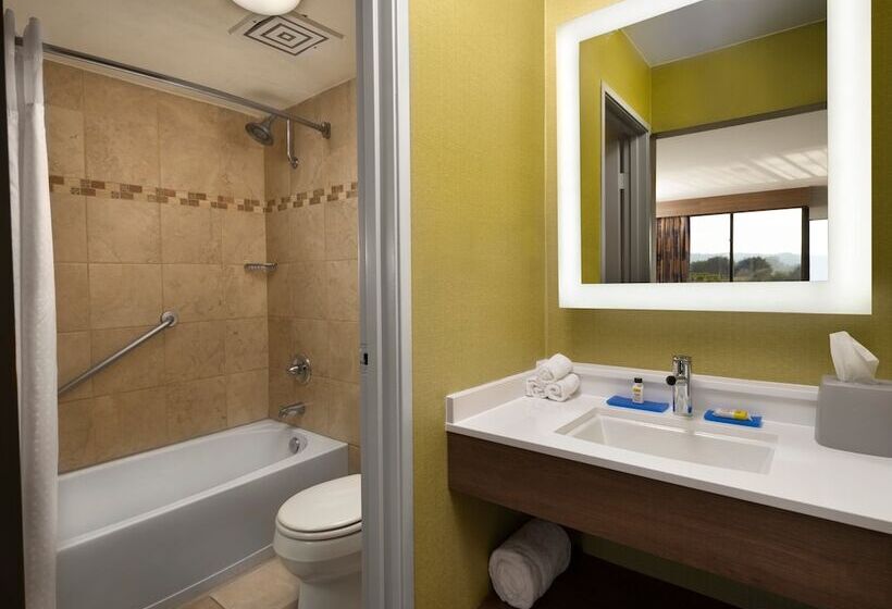 스탠다드 룸 더블 침대 2개, Holiday Inn Express At Monterey Bay, An Ihg