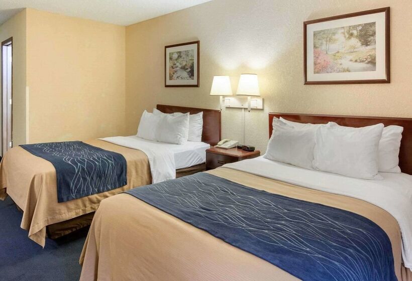 스탠다드 룸 더블 침대 2개, Quality Inn University Area