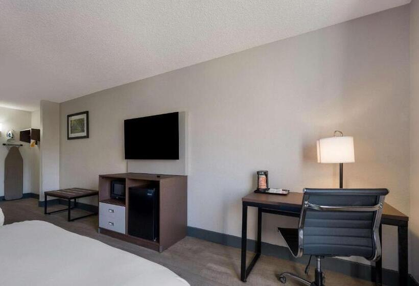 스탠다드 룸 더블 침대 2개, Quality Inn University Area