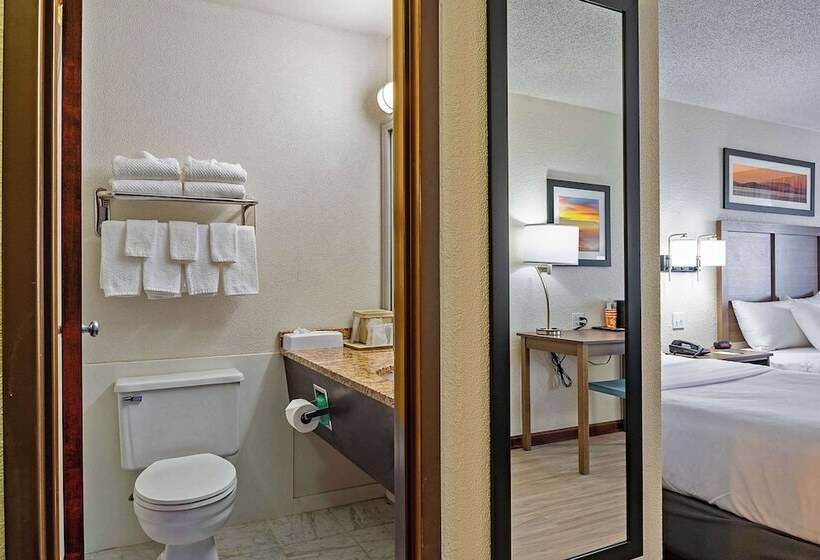 스탠다드 룸 더블 침대 2개, Quality Inn Milansandusky