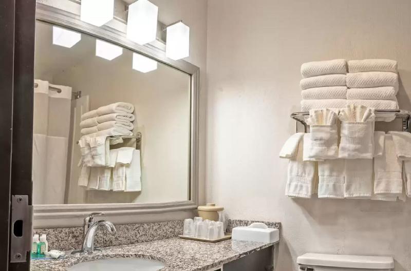 스탠다드 룸 킹사이즈 침대, Quality Inn Milansandusky