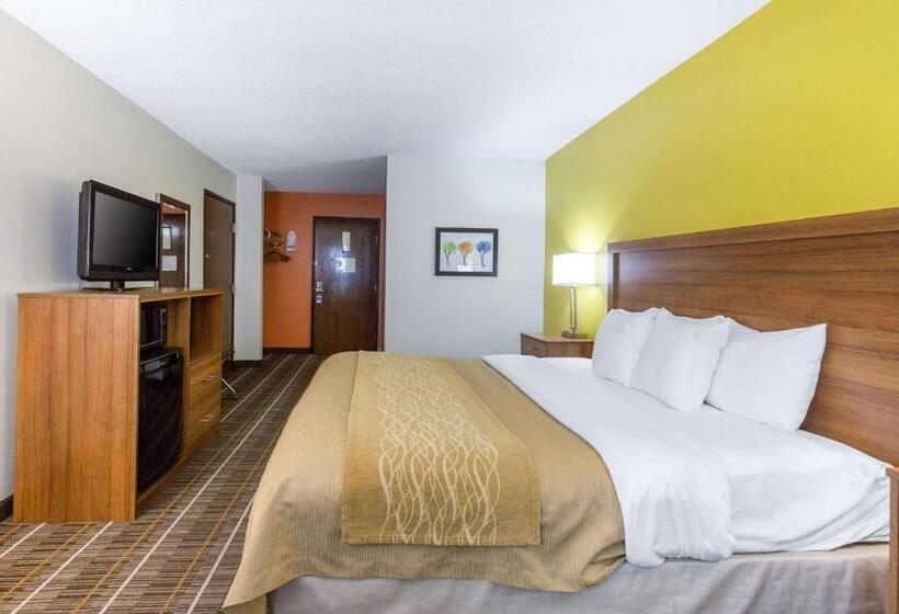 Стандартный Номер Кровать Кинг, Quality Inn Stephens Citywinchester South