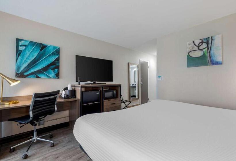 스탠다드 룸 킹사이즈 침대, Best Western Corpus Christi Airport