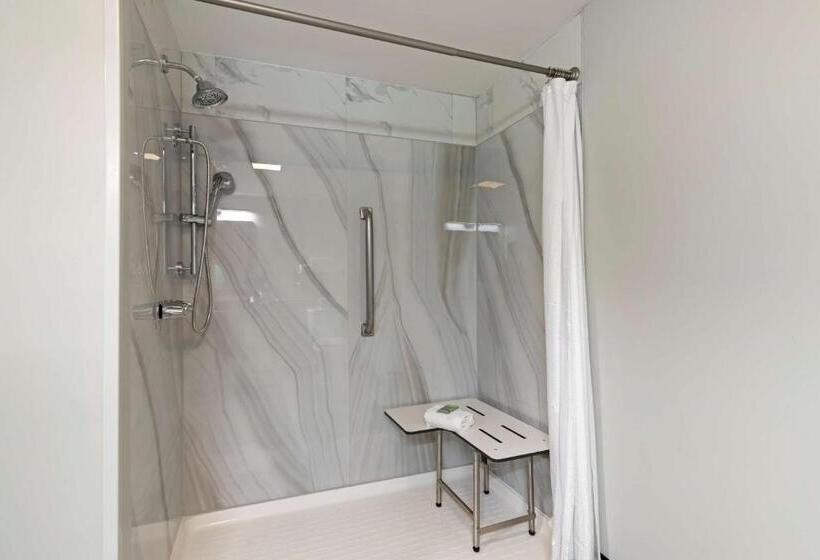 장애인을 위한 킹사이즈 침대 스탠다드 룸, Best Western Corpus Christi Airport