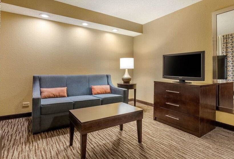 Suite, Suburban Studios Arlington Heights Elk Grove