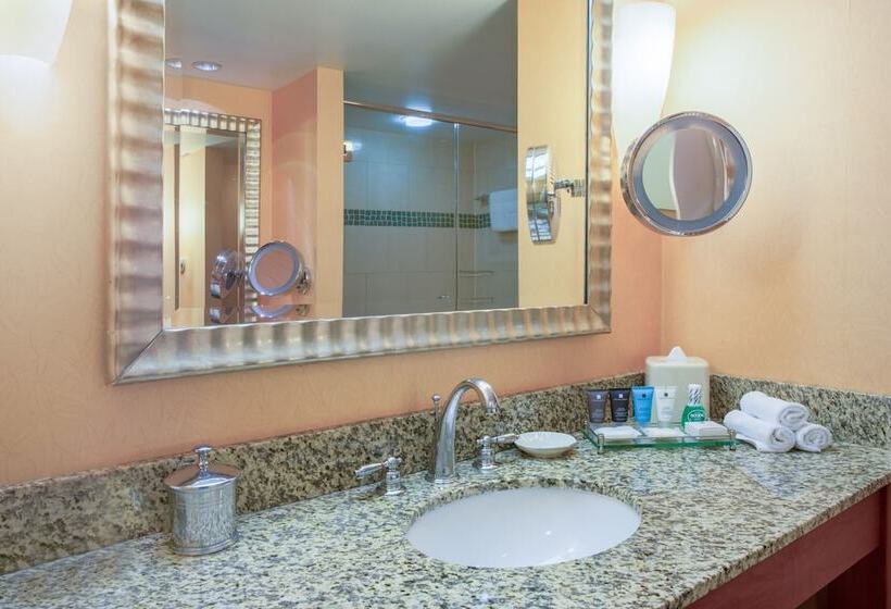 스탠다드 룸, Crowne Plaza Dulles Airport, An Ihg