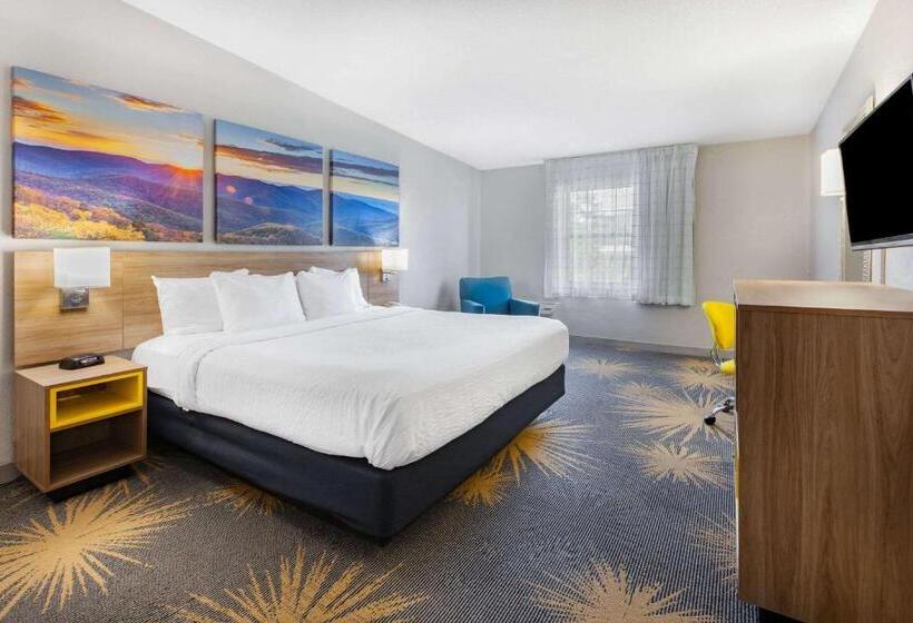 스탠다드 룸 킹사이즈 침대, Days Inn By Wyndham Roanoke Near I81
